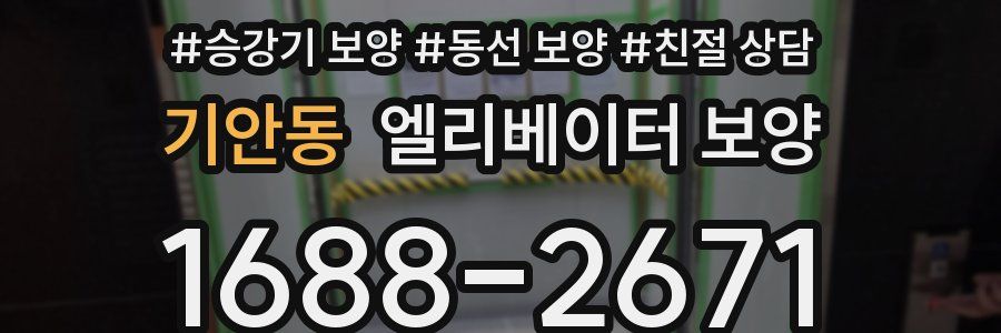 기안동 엘리베이터 보양