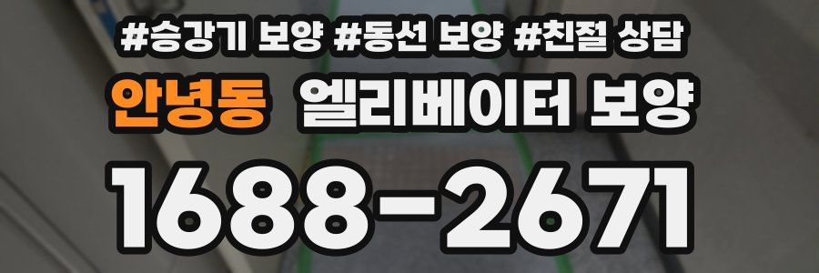 안녕동 엘리베이터 보양