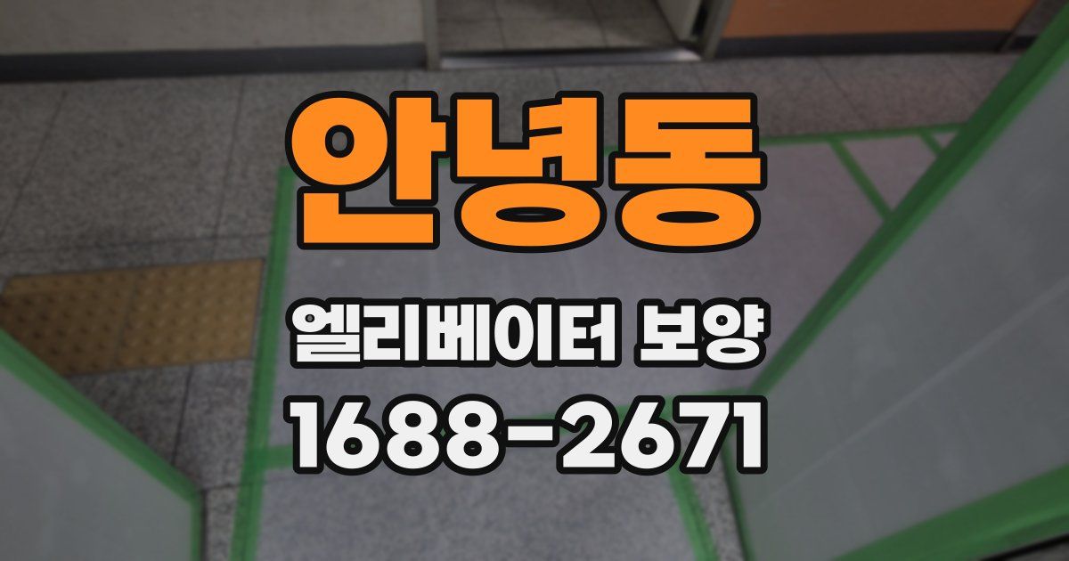 안녕동 엘리베이터 보양