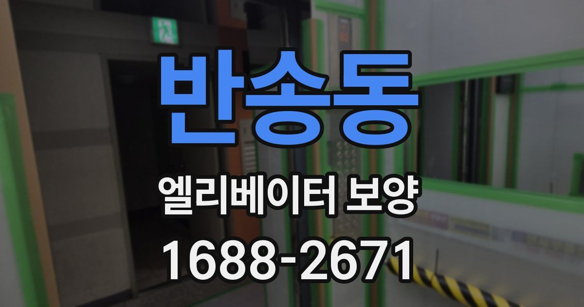 반송동 엘리베이터 보양