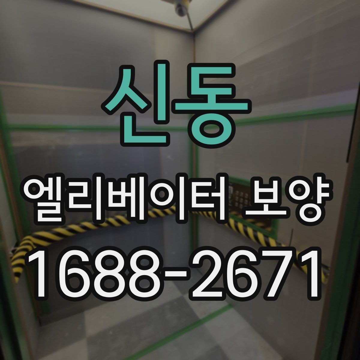 신동 엘리베이터 보양 현장별 맞춤 적용 사례