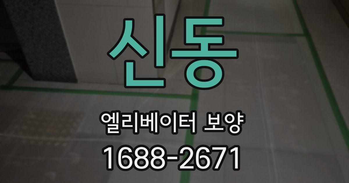 신동 엘리베이터 보양