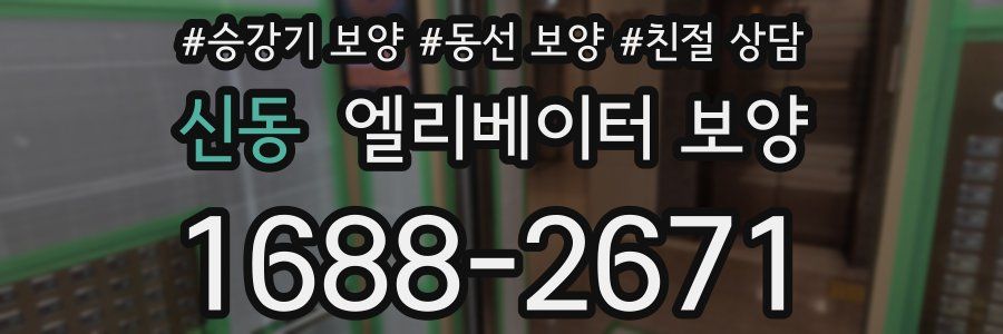 신동 엘리베이터 보양