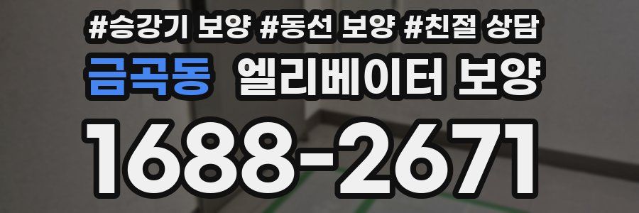 금곡동 엘리베이터 보양