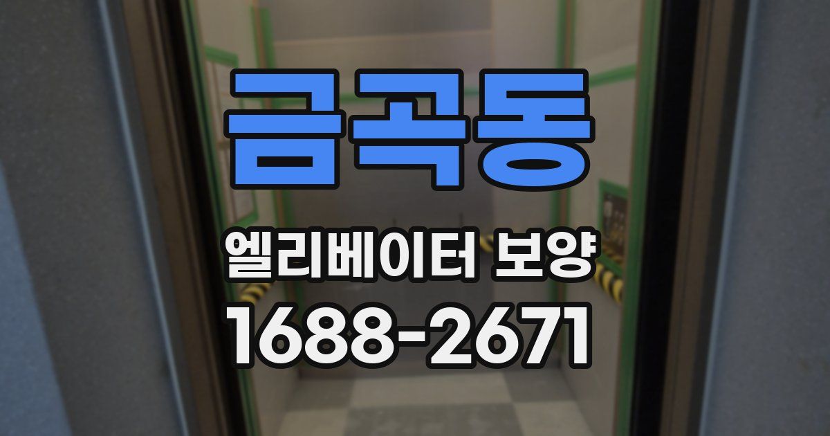 금곡동 엘리베이터 보양