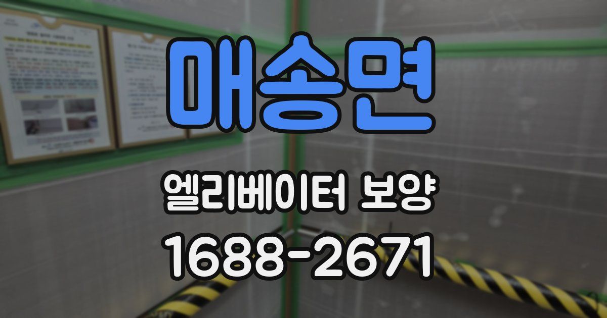 매송면 엘리베이터 보양