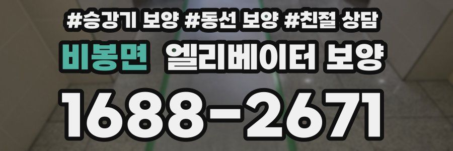 비봉면 엘리베이터 보양