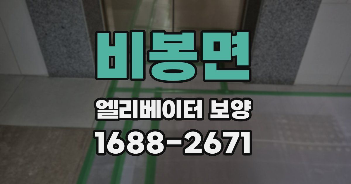 비봉면 엘리베이터 보양
