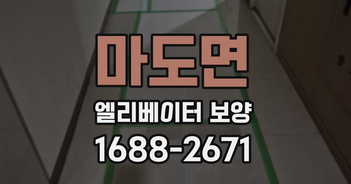 마도면 엘리베이터 보양