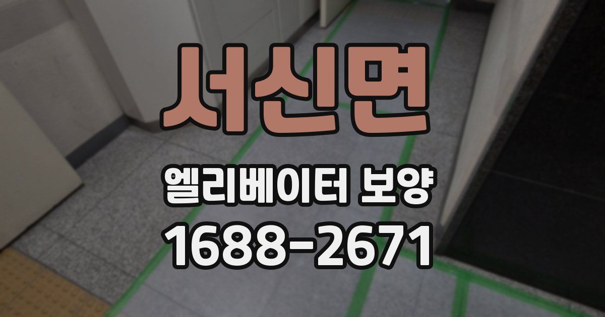 서신면 엘리베이터 보양