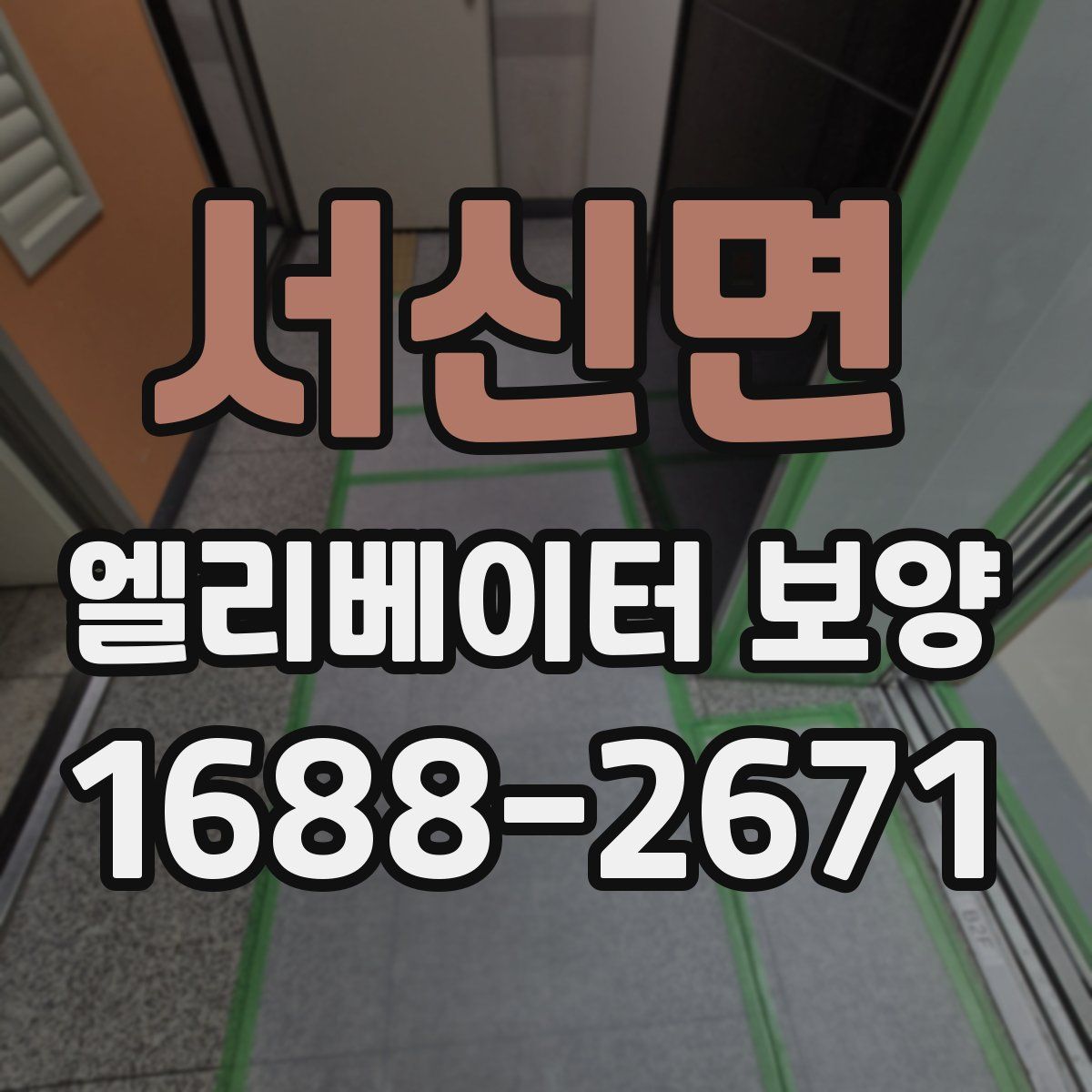서신면 엘리베이터 보양