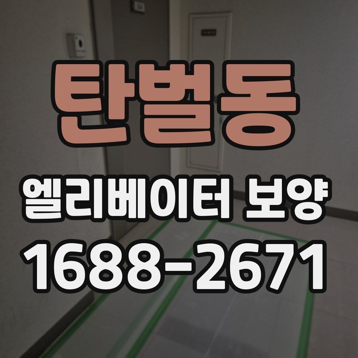 탄벌동 엘리베이터 보양 자주 쓰는 소재와 특징 비교