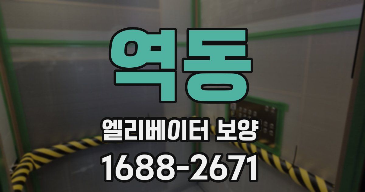 역동 엘리베이터 보양