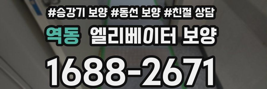 역동 엘리베이터 보양