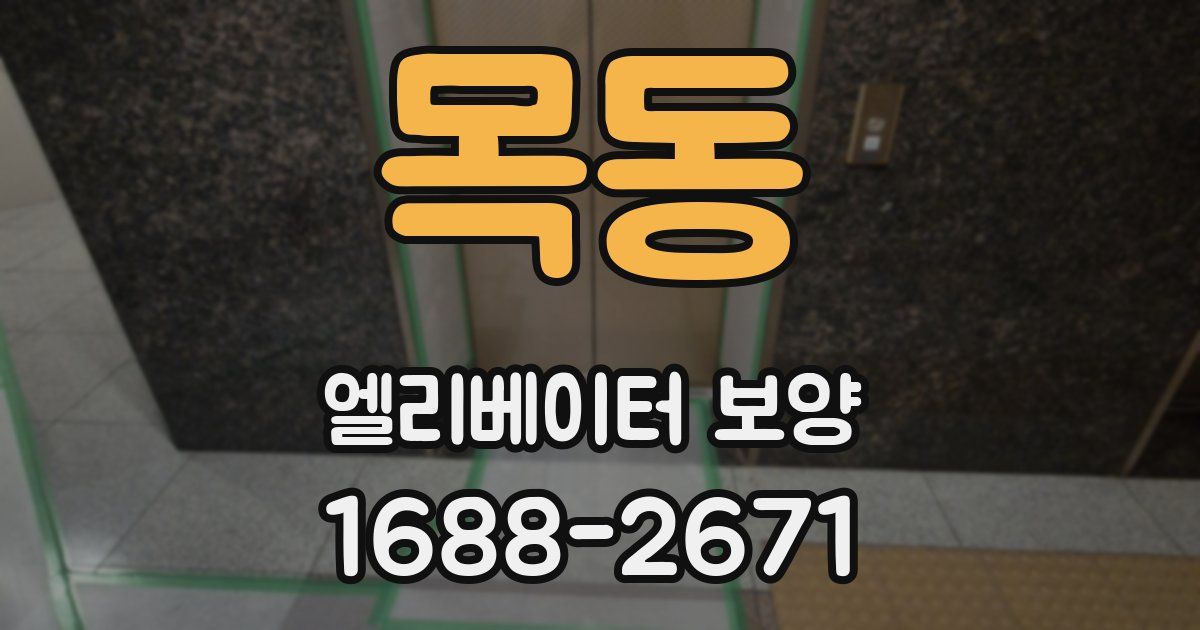 목동 엘리베이터 보양