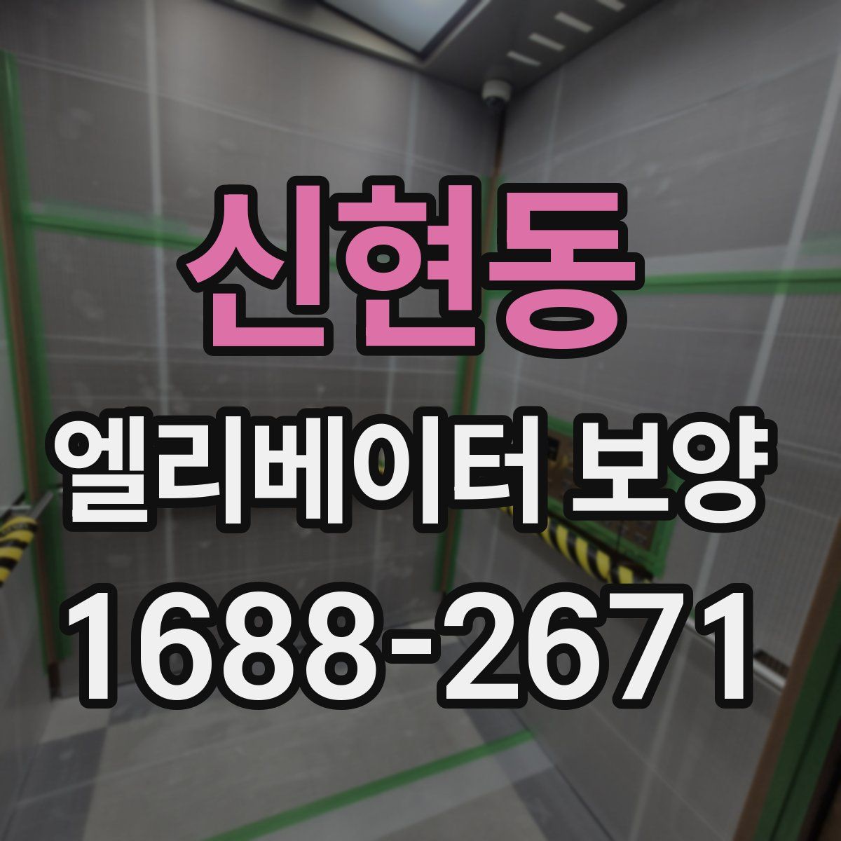 신현동 엘리베이터 보양