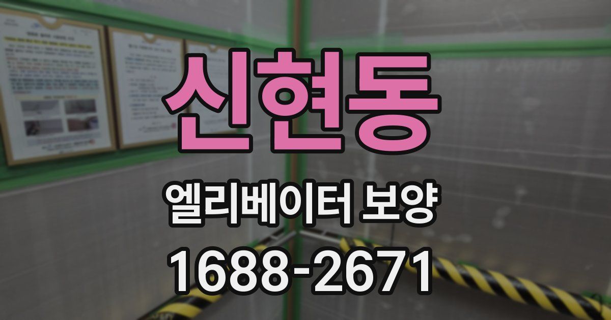 신현동 엘리베이터 보양