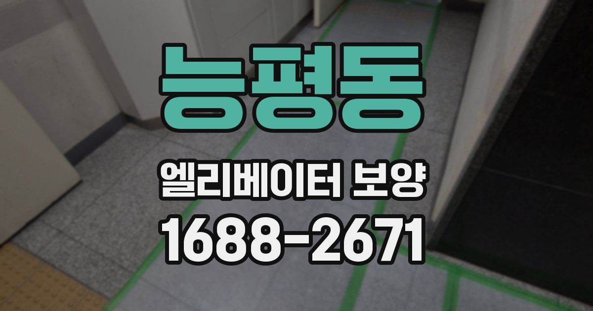 능평동 엘리베이터 보양