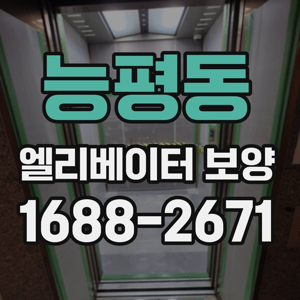 능평동 엘리베이터 보양