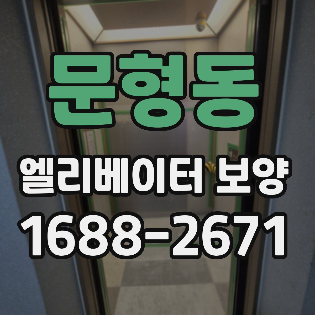 문형동 엘리베이터 보양