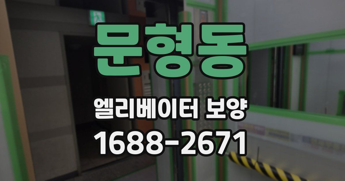 문형동 엘리베이터 보양