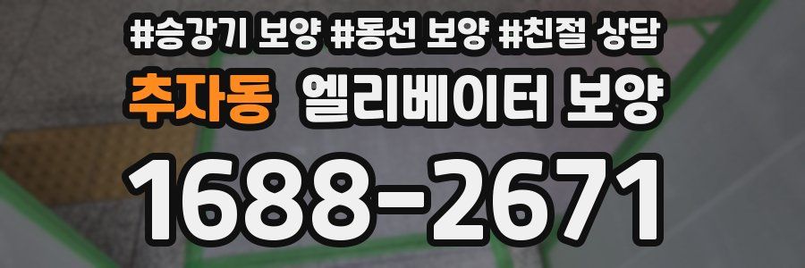 추자동 엘리베이터 보양