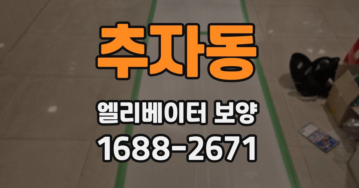 추자동 엘리베이터 보양