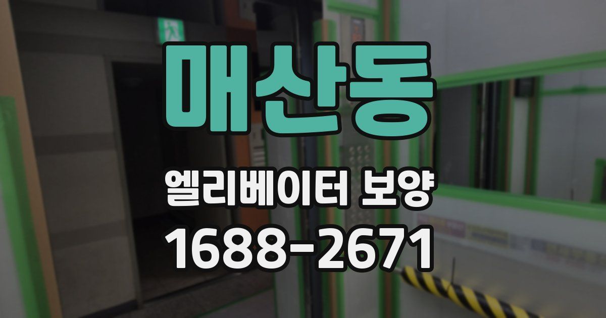 매산동 엘리베이터 보양