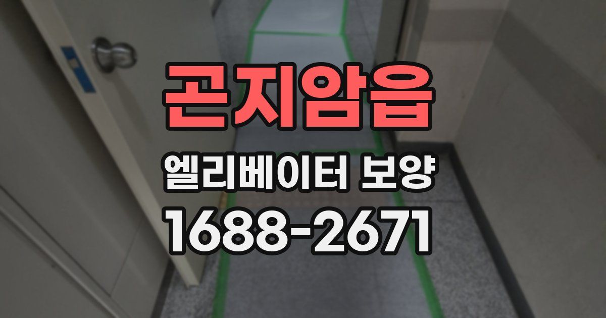 곤지암읍 엘리베이터 보양