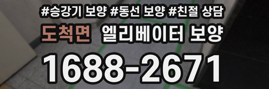 도척면 엘리베이터 보양