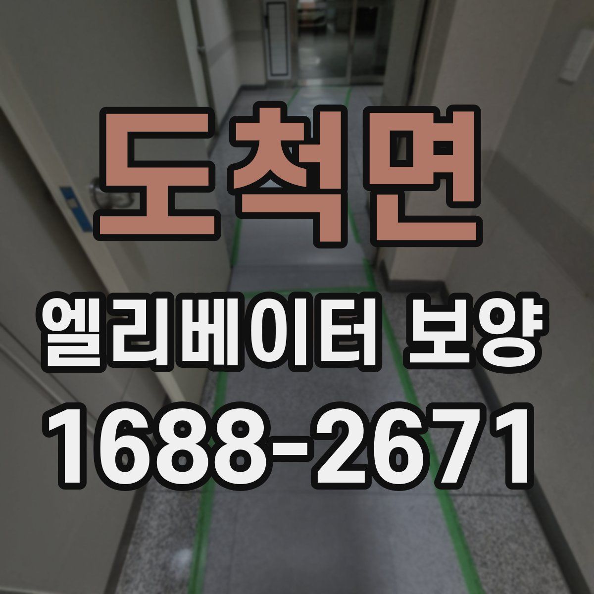 도척면 엘리베이터 보양