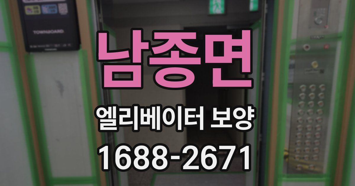 남종면 엘리베이터 보양