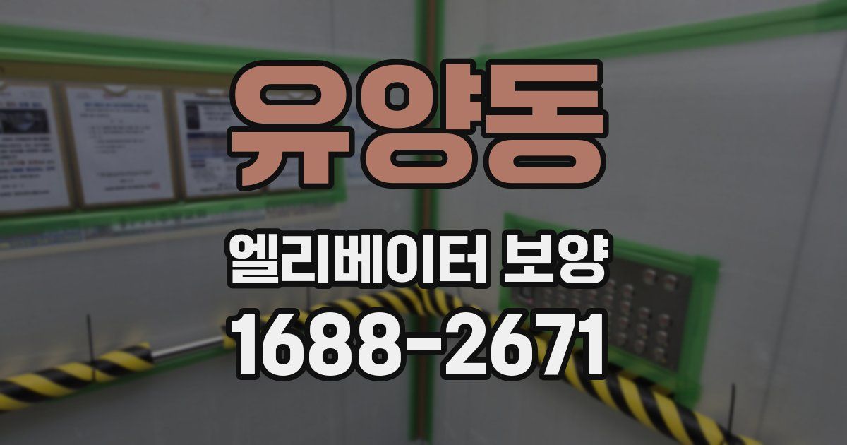유양동 엘리베이터 보양