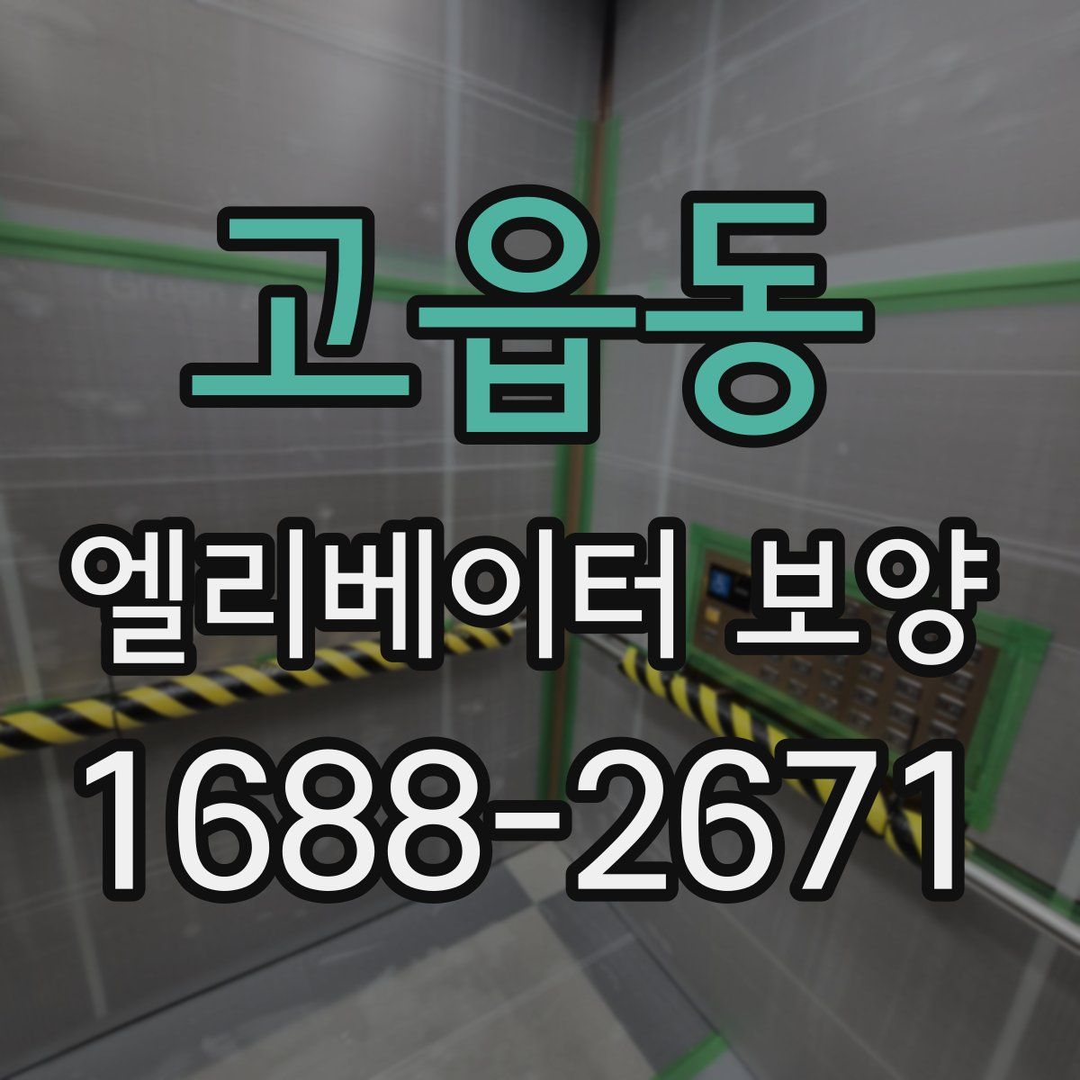 고읍동 엘리베이터 보양