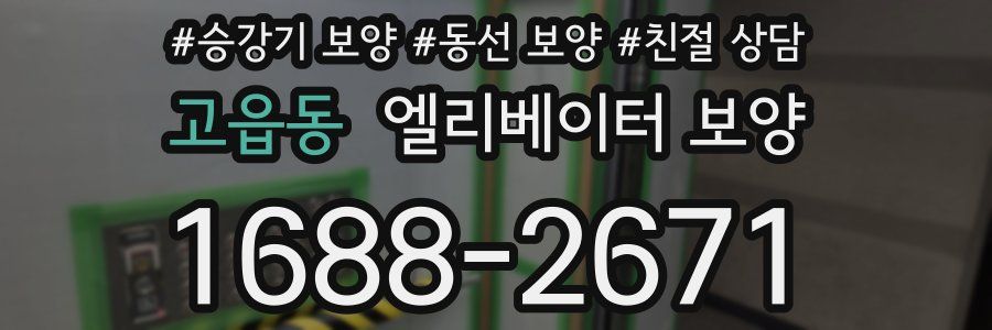 고읍동 엘리베이터 보양