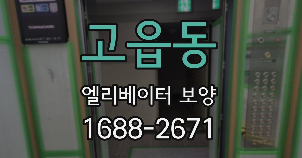 고읍동 엘리베이터 보양