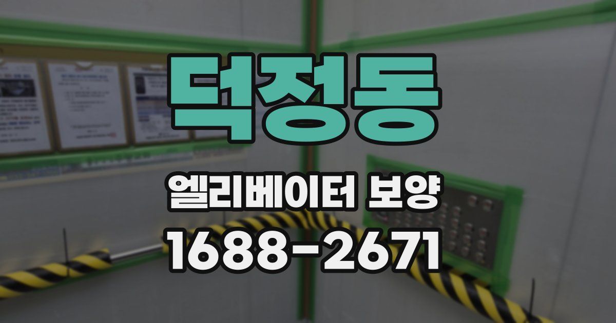 덕정동 엘리베이터 보양