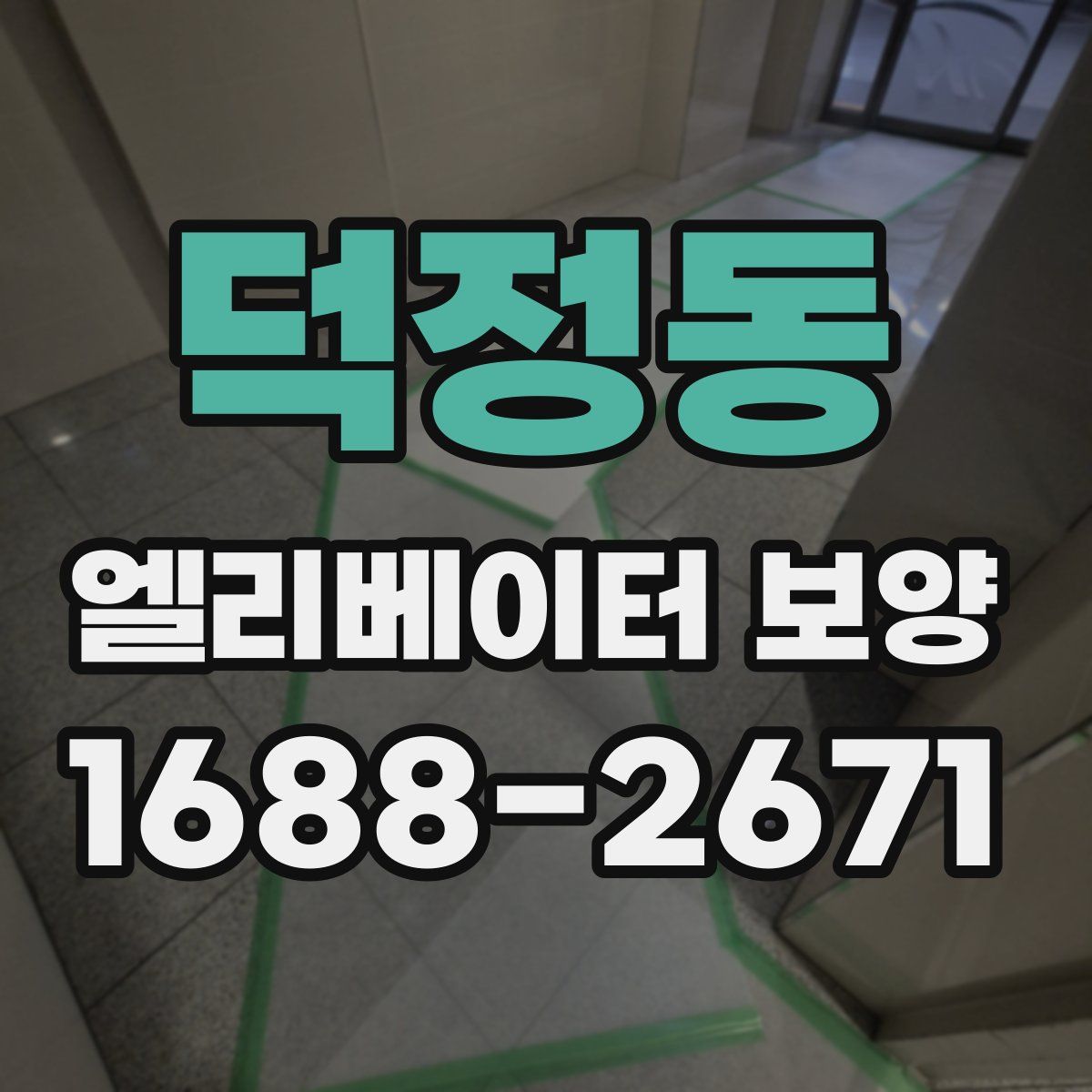 덕정동 엘리베이터 보양