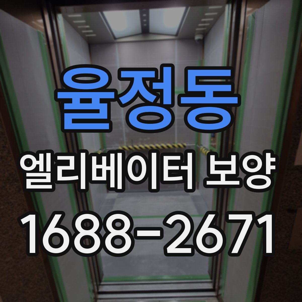 율정동 엘리베이터 보양