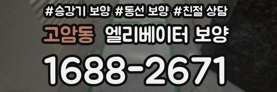 고암동 엘리베이터 보양