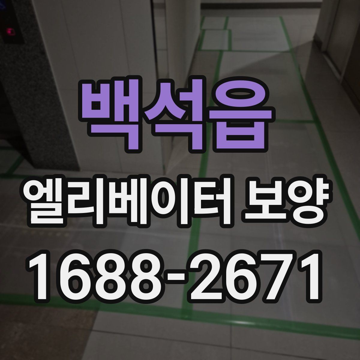 백석읍 엘리베이터 보양 현장 사진으로 보는 진행 방식