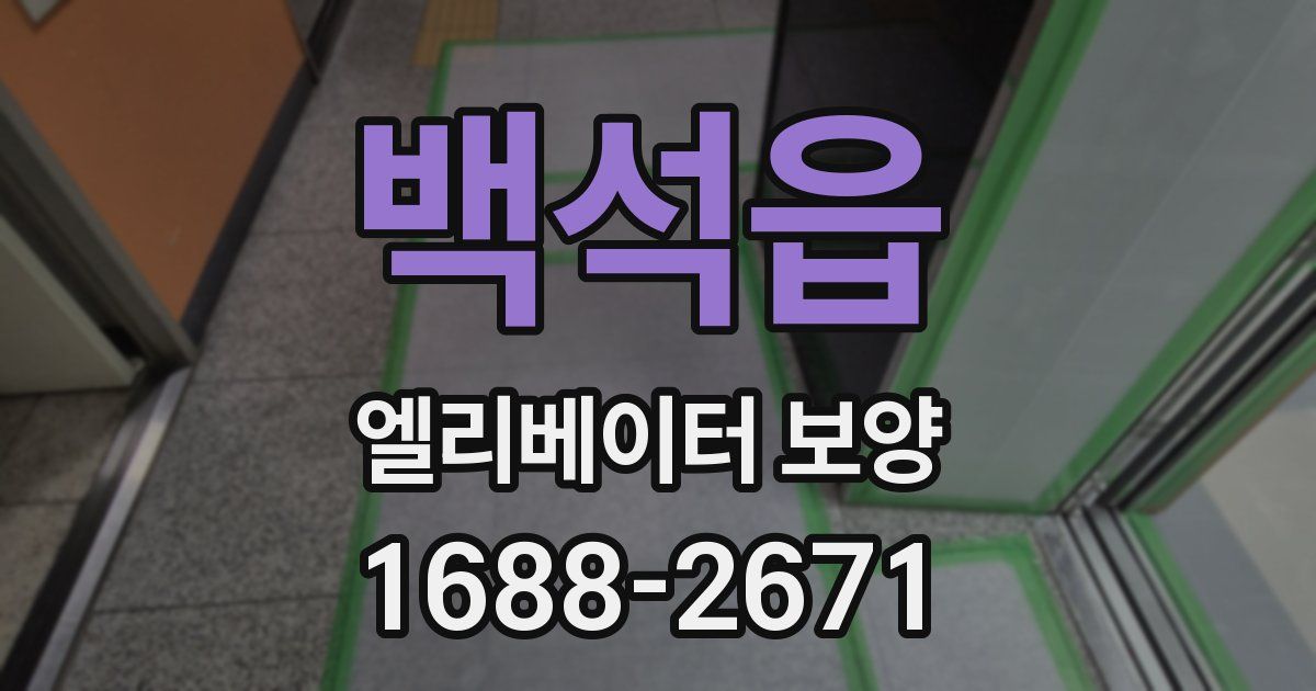 백석읍 엘리베이터 보양