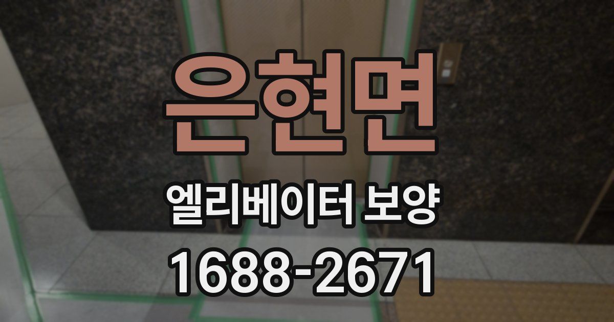 은현면 엘리베이터 보양