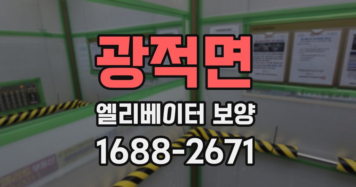 광적면 엘리베이터 보양