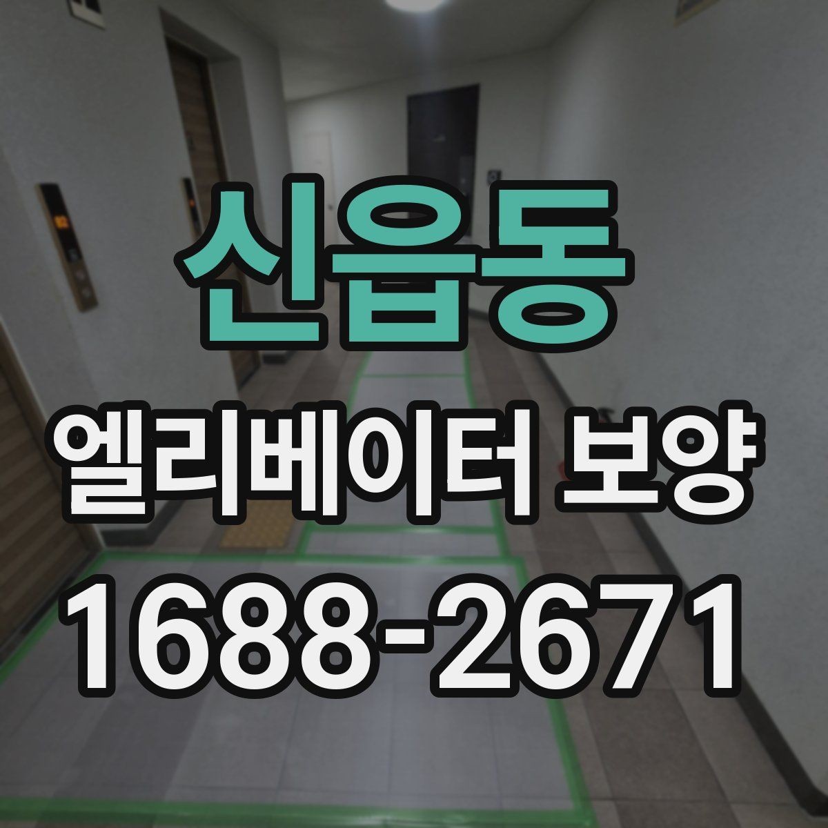신읍동 엘리베이터 보양 현장별 방식이 달라지는 이유