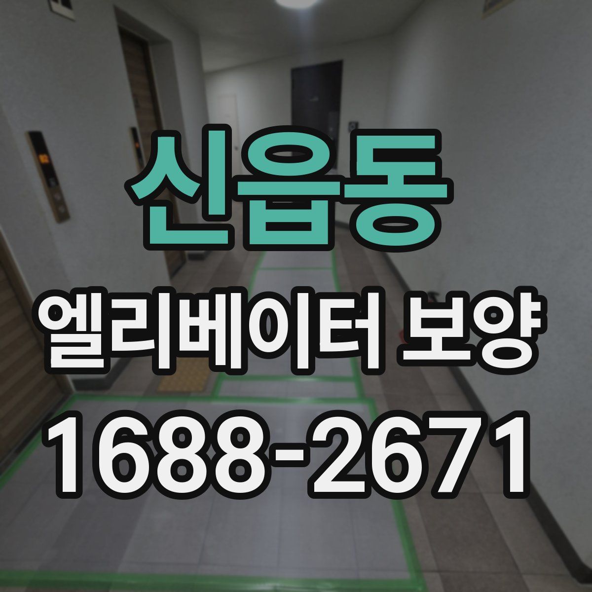 신읍동 엘리베이터 보양