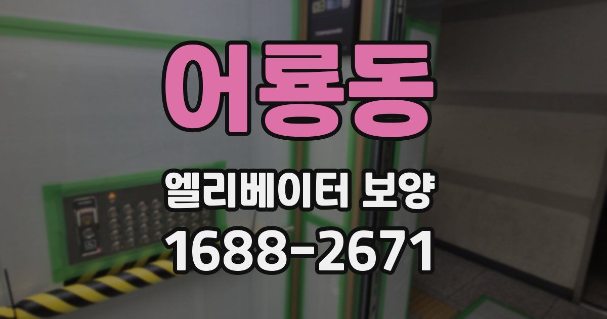 어룡동 엘리베이터 보양