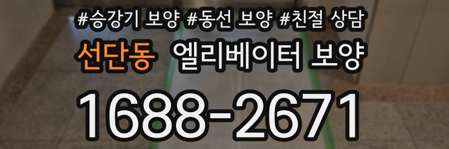선단동 엘리베이터 보양