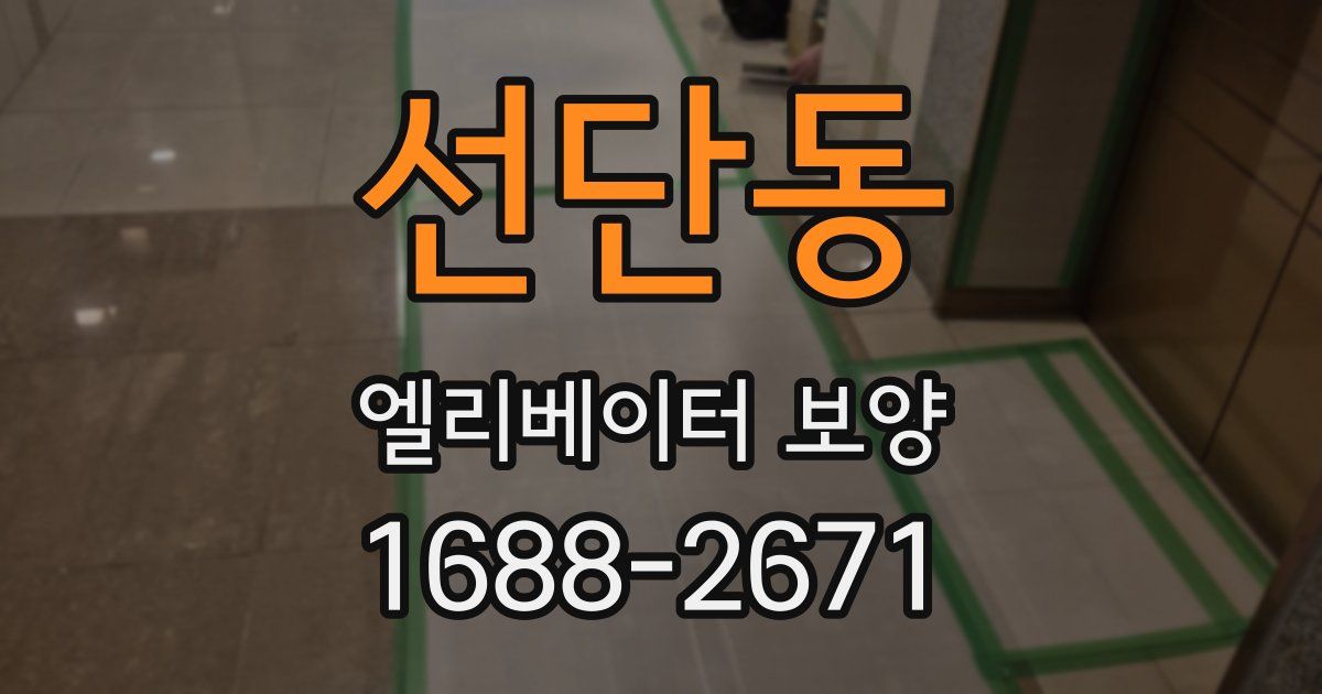 선단동 엘리베이터 보양