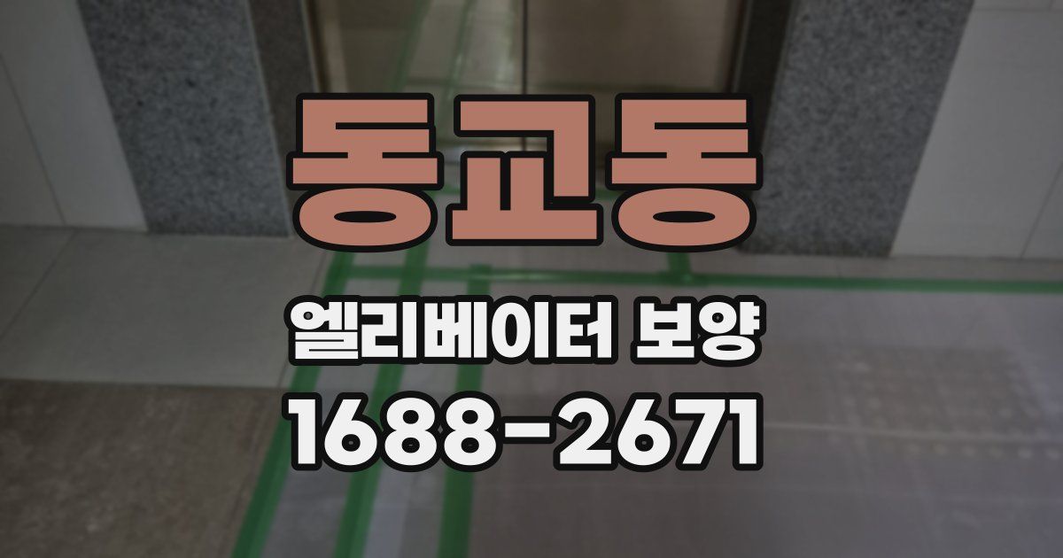 동교동 엘리베이터 보양